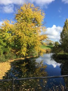 The Autumn Tag