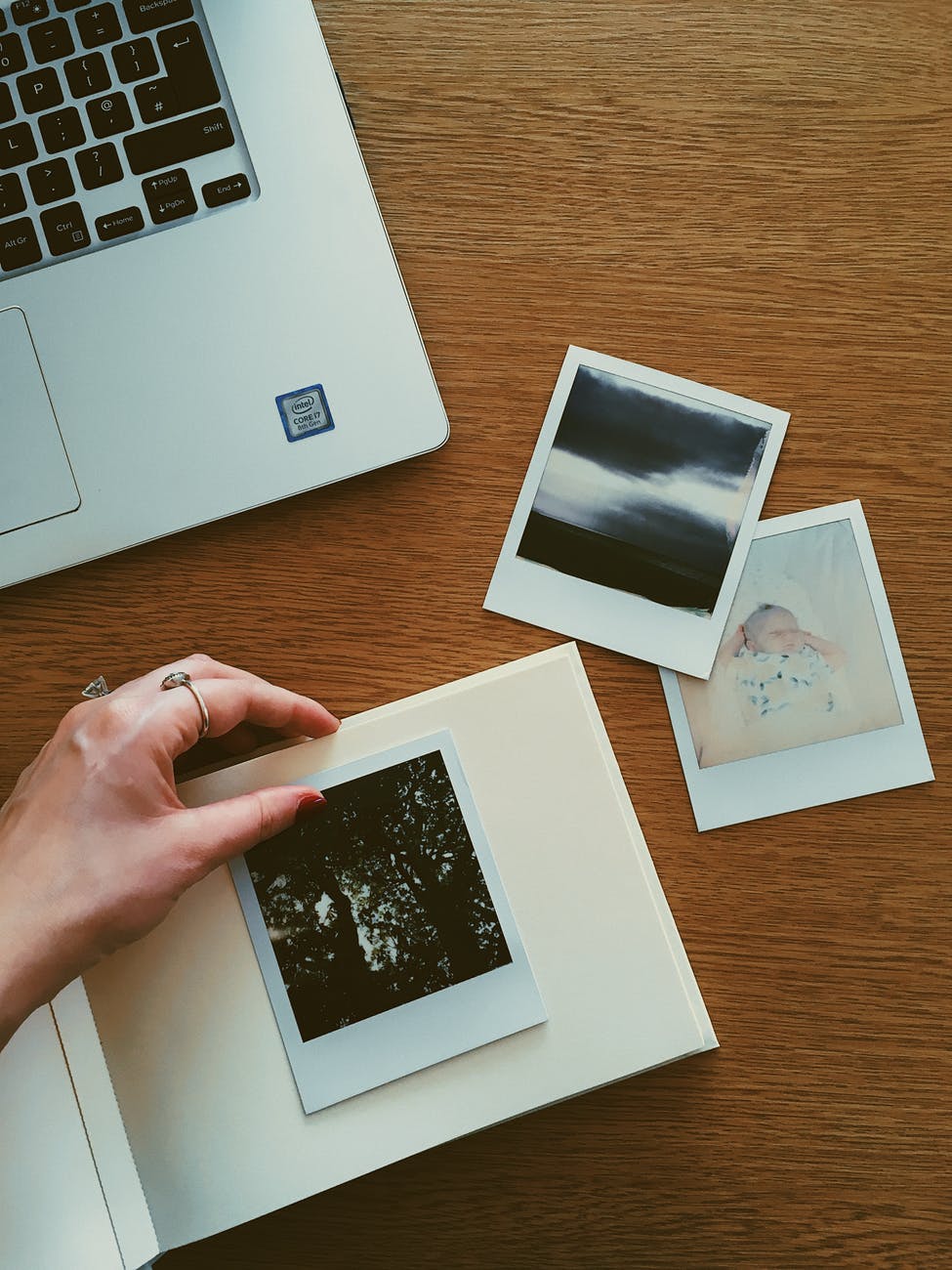 person holding photo of plant