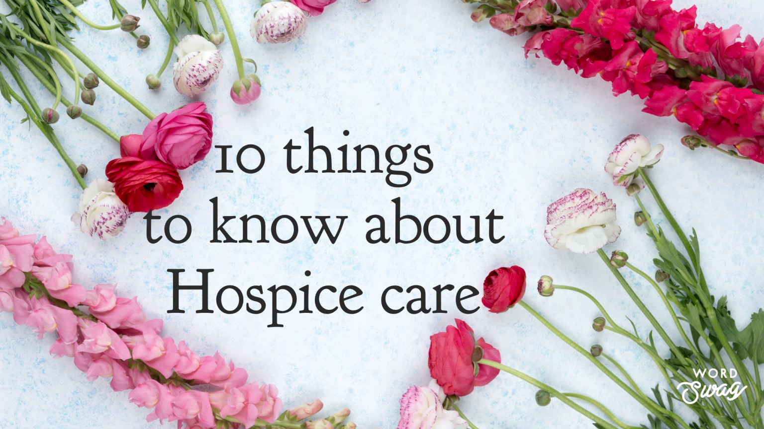 10 Things you need to know about Hospice care - Our Favourite Jar