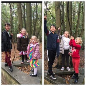 Autumn walk 2017 vs 2019