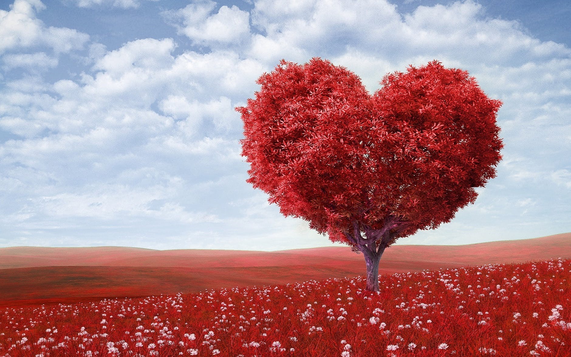 10 Things to know about hospice care