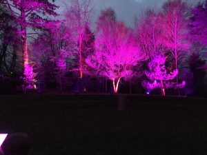 Illumination Trail 