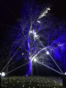 Glitter Balls - Illumination Trail - 