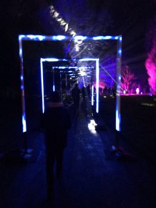 Illumination Trail - Waddesdon Manor 2018