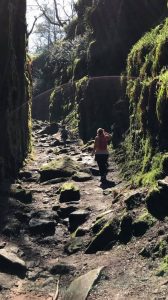 A walk in the hills