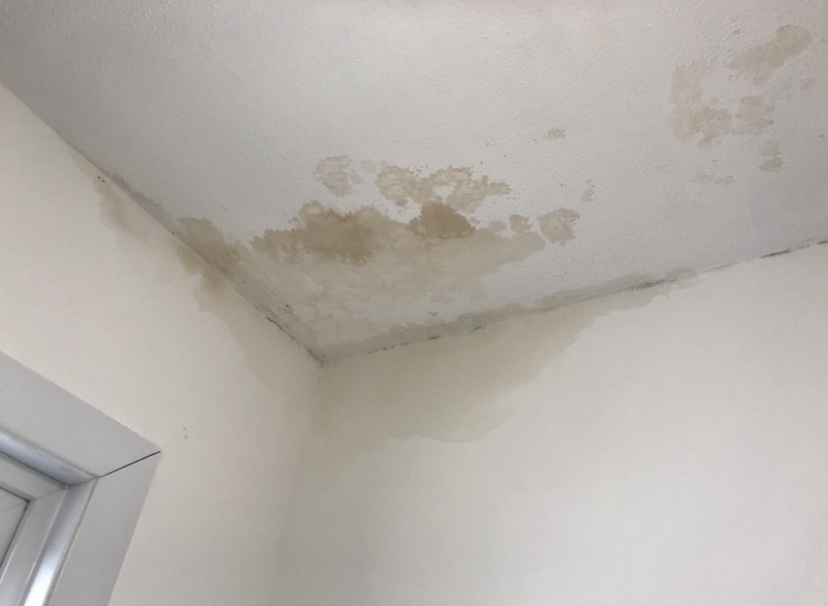 10 funny lessons you'll learn during House renovations