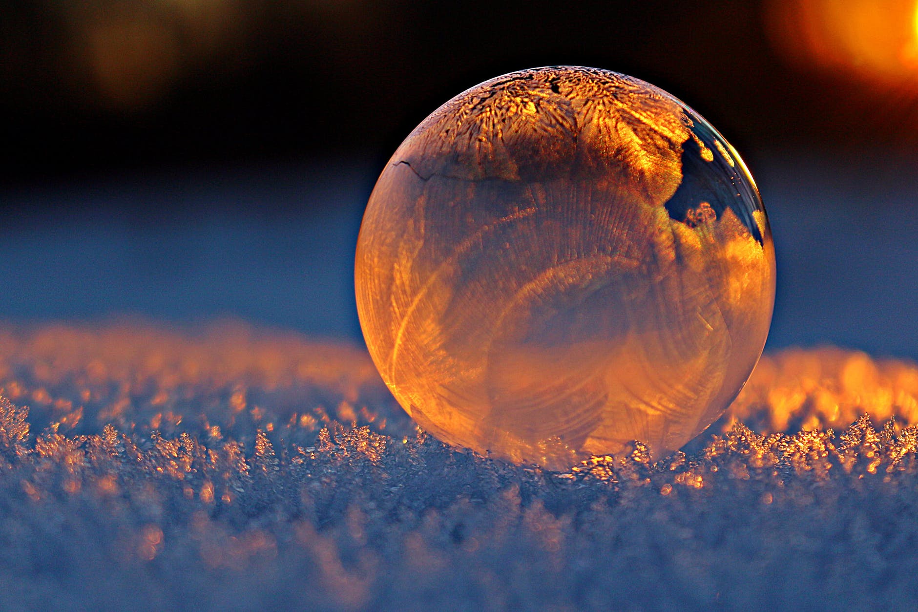 ball ball shaped blur bubble
Lockdown can't ruin christmas 