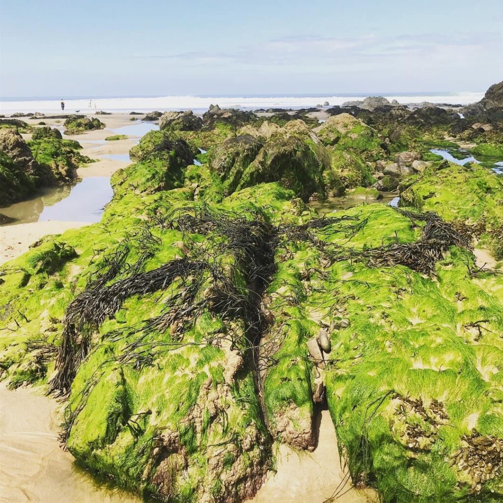 Rock pools on beach