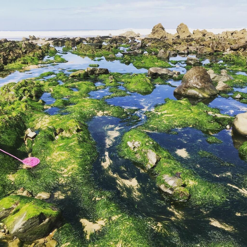 Rock pools at beach