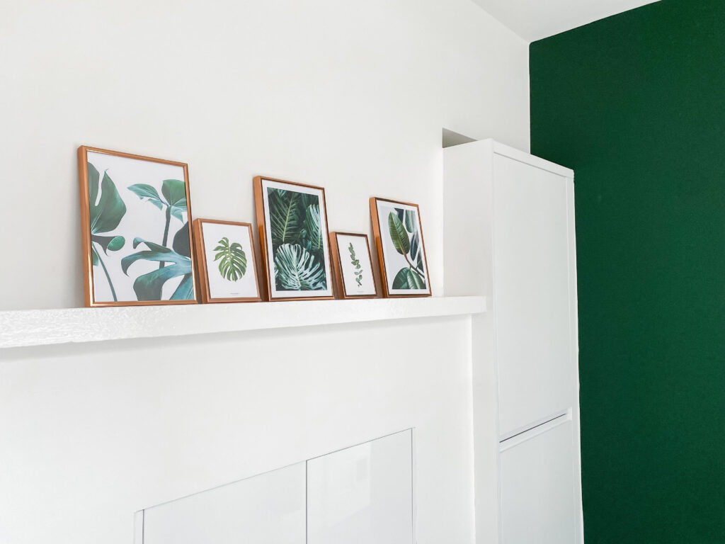 White kitchen with a green wall, copper coloured frames with botanical images on a shelf